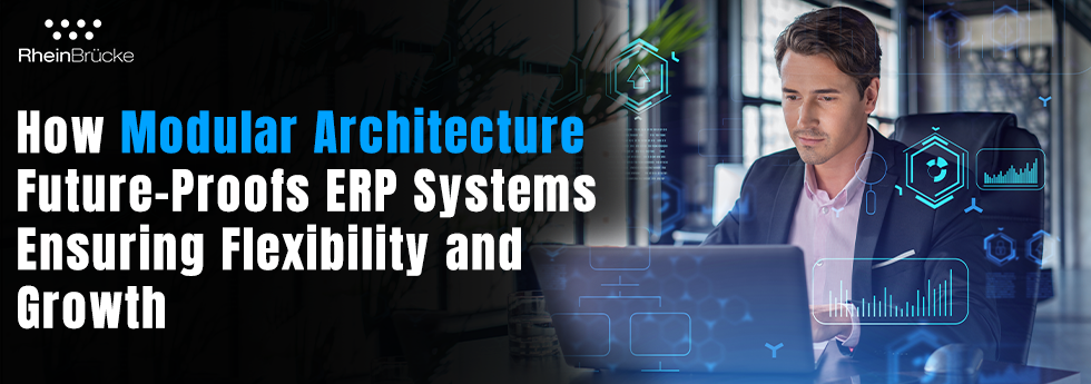 Modular Architecture Future-Proofs ERP System